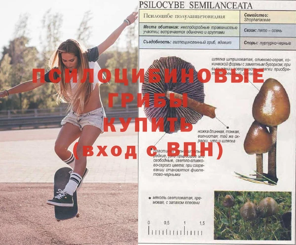 дмт Нефтегорск