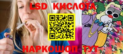 шишки Ярославль