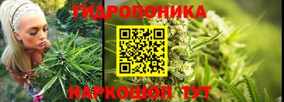 бошки Пенза