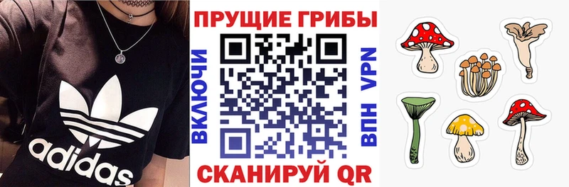 где купить наркоту Юрга Галлюциногенные грибы Magic Shrooms