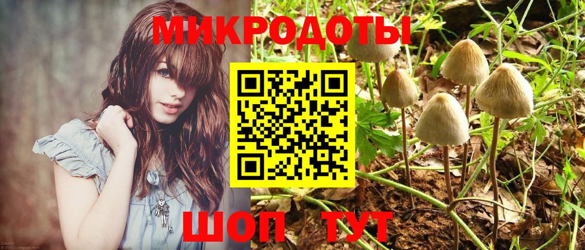 Галлюциногенные грибы GOLDEN TEACHER Юрга