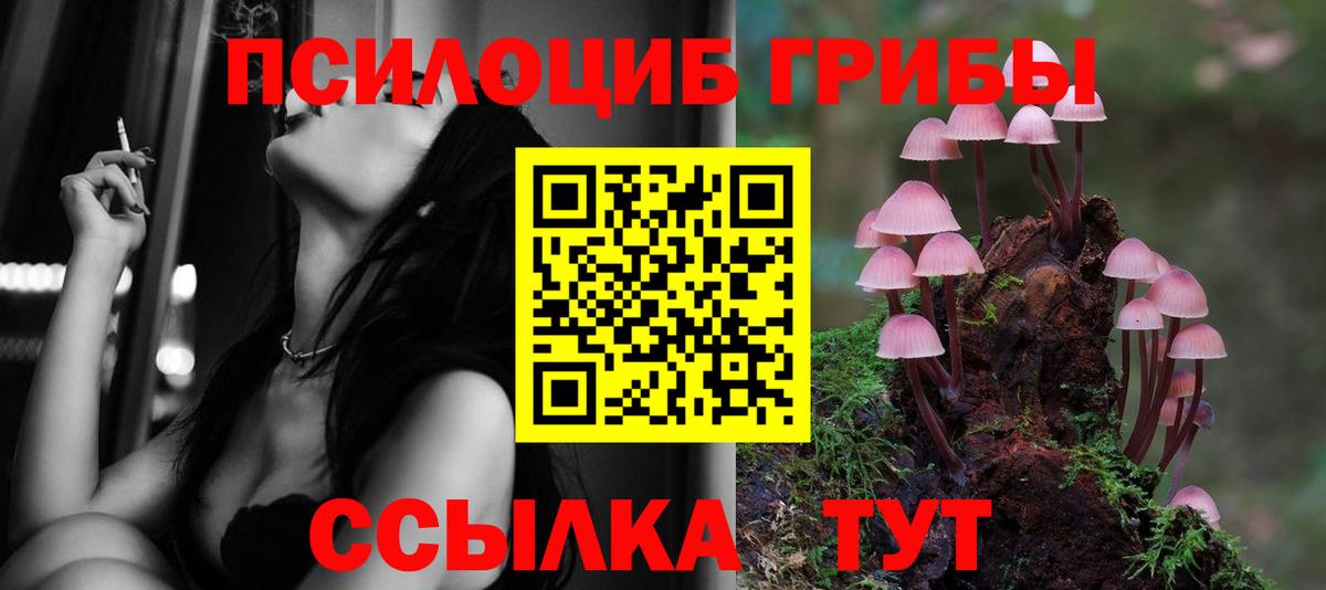 Псилоцибиновые грибы Psilocybe  Вход с VPN  Галлюциногенные грибы MAGIC MUSHROOMS  Юрга 