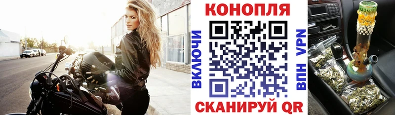Бошки Шишки ГИДРОПОН  гидра ССЫЛКА  Юрга 